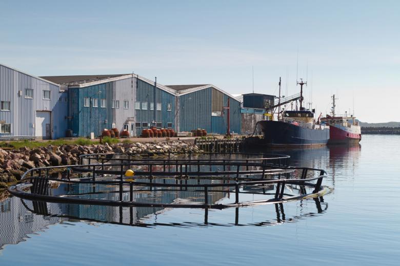 Free stock image of Fish Pens created by Geoffrey Whiteway