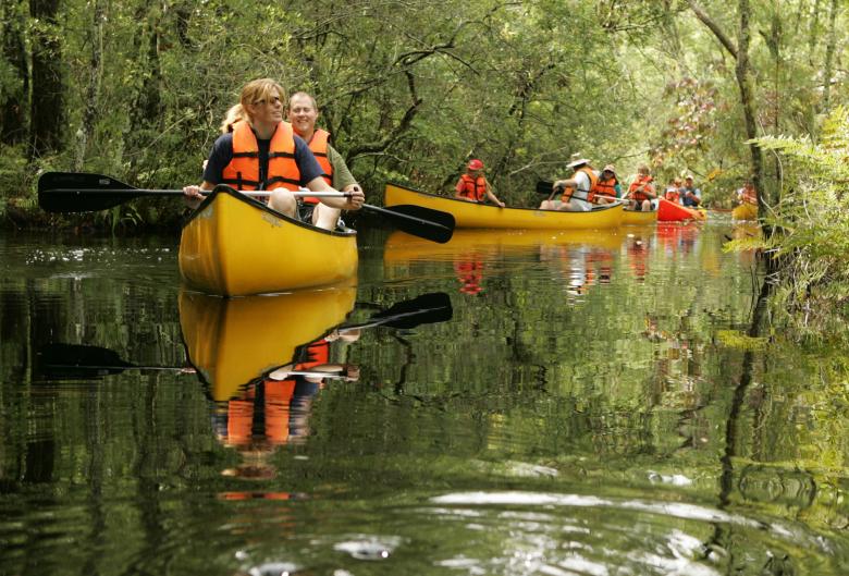 Free stock image of Canoeing in the River created by Pixabay