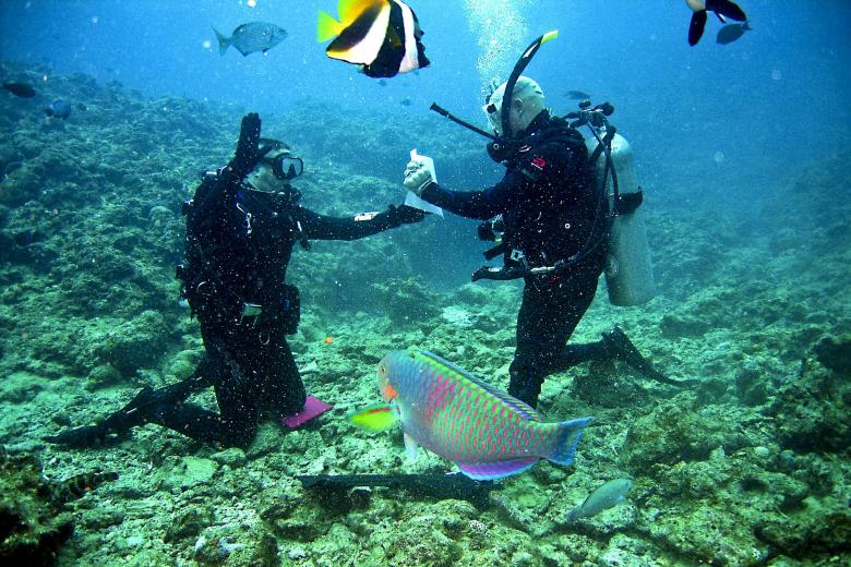 Free stock image of Underwater Divers created by Pixabay