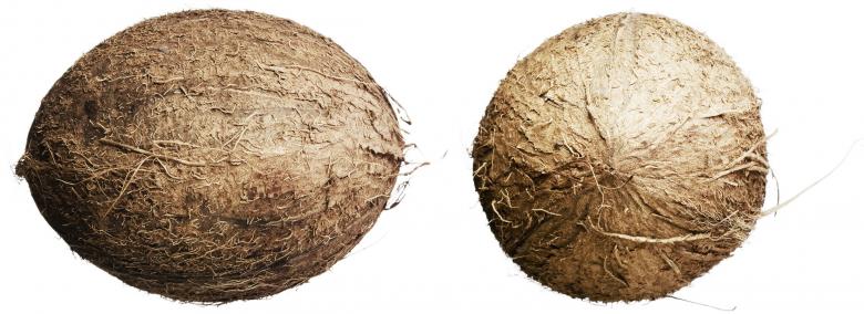 Free stock image of coconuts  created by 2happy