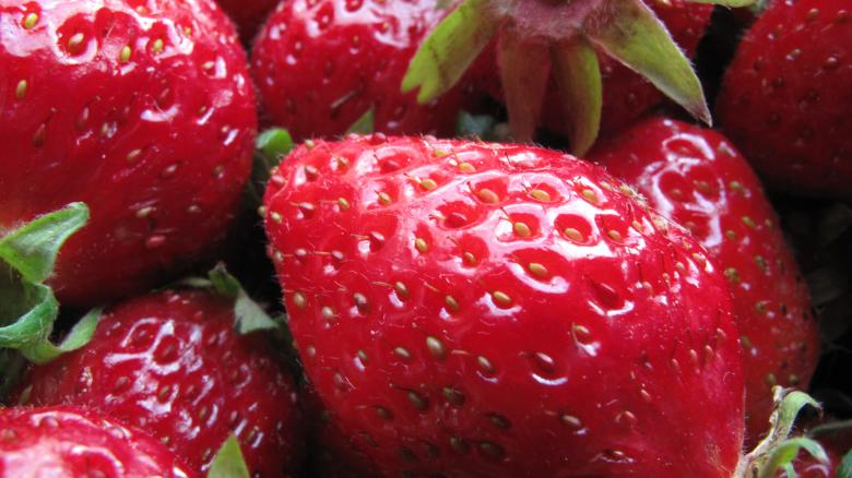 Free stock image of Fresh Strawberries created by Pixabay