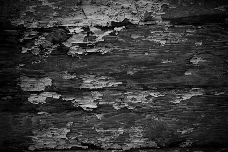 Free stock image of Grunge Wood Texture created by Free Texture Friday