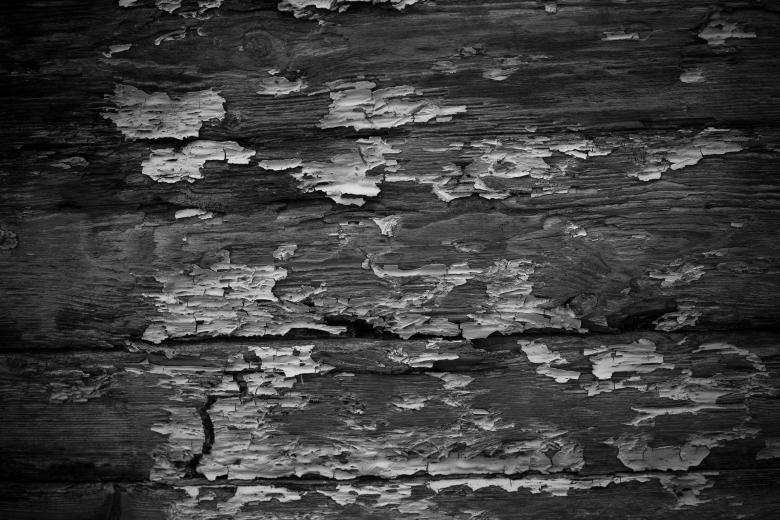 Free stock image of Grunge Wood Texture created by Free Texture Friday