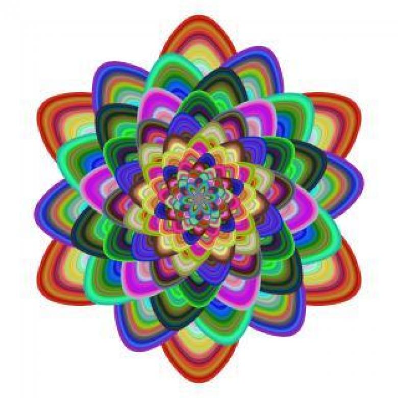 Free stock image of Multicolored Floral Design Vector created by David Zydd