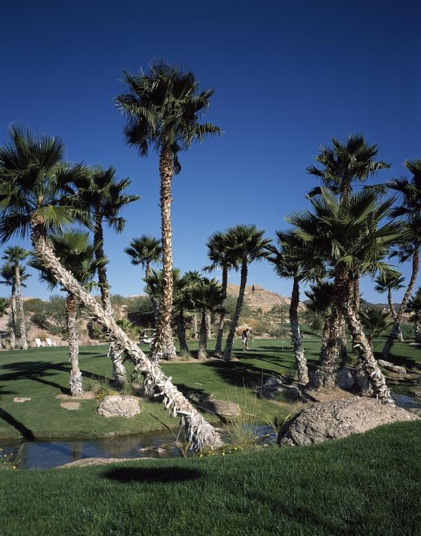 Free stock image of Golf Course created by Pixabay