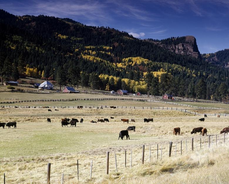 Free stock image of Cattle Farm created by Pixabay