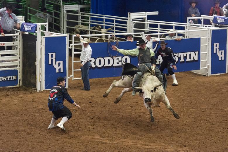Free stock image of Riding a Bull created by Pixabay