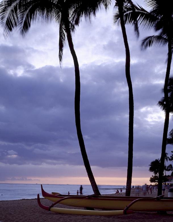 Free stock image of Evening on the Beach created by Pixabay