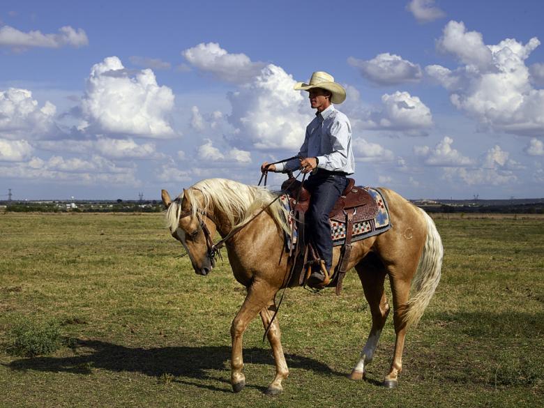 Free stock image of Horse Riding created by Pixabay