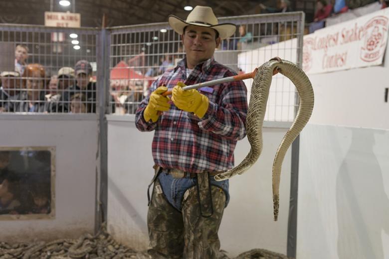 Free stock image of Rattlesnake Handler created by Pixabay