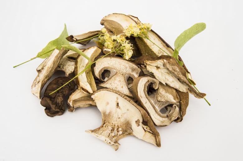 Free stock image of Dried Mushrooms created by Ivan Shidlovski