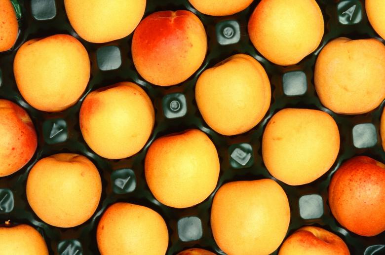 Free stock image of Fresh Apricots created by Pixabay