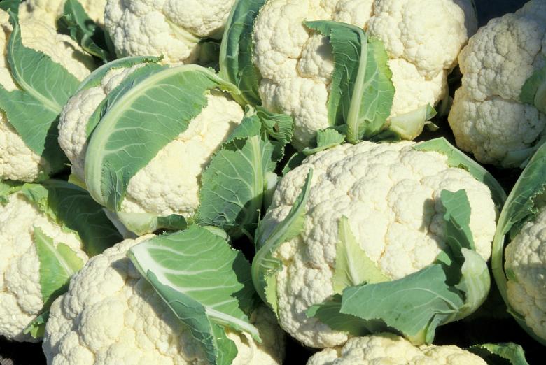Free stock image of Fresh Cauliflowers created by Pixabay