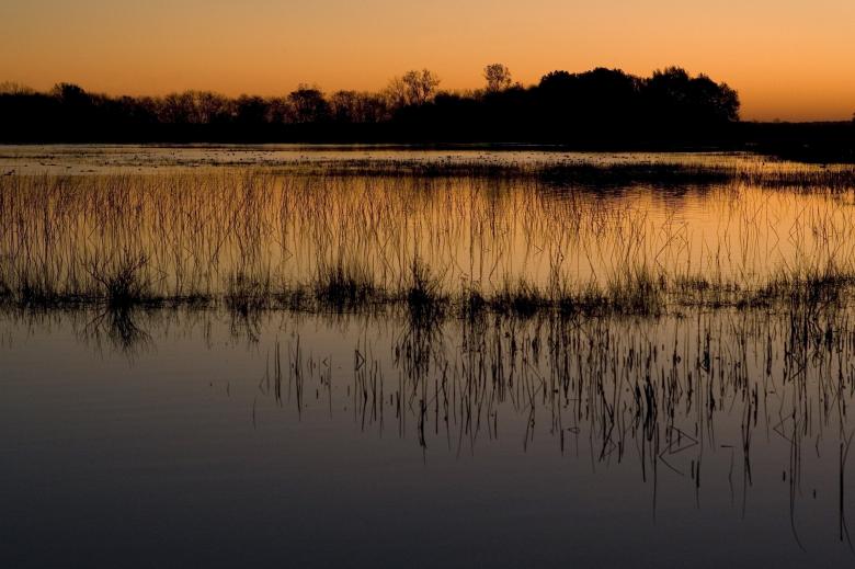 Free stock image of Wet Lands created by Pixabay