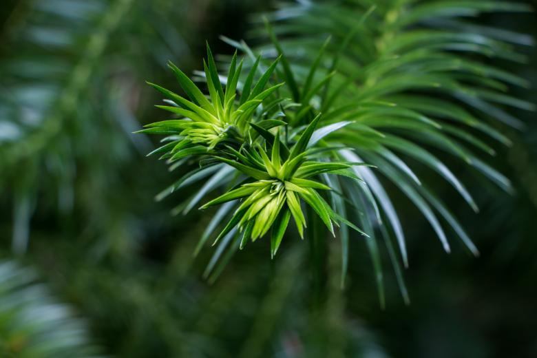 Free stock image of Green notes created by Janis Urtans