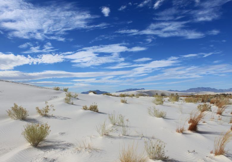 Free stock image of White Sands created by Pixabay