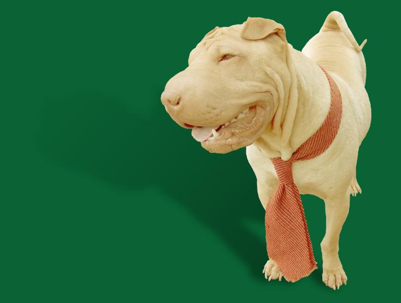 Free stock image of Shar Pei created by Pixabay