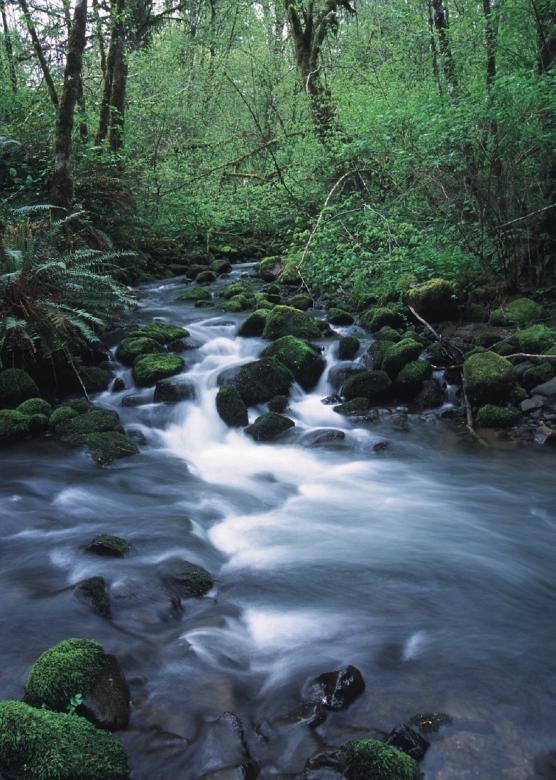 Free stock image of Running Stream created by Pixabay