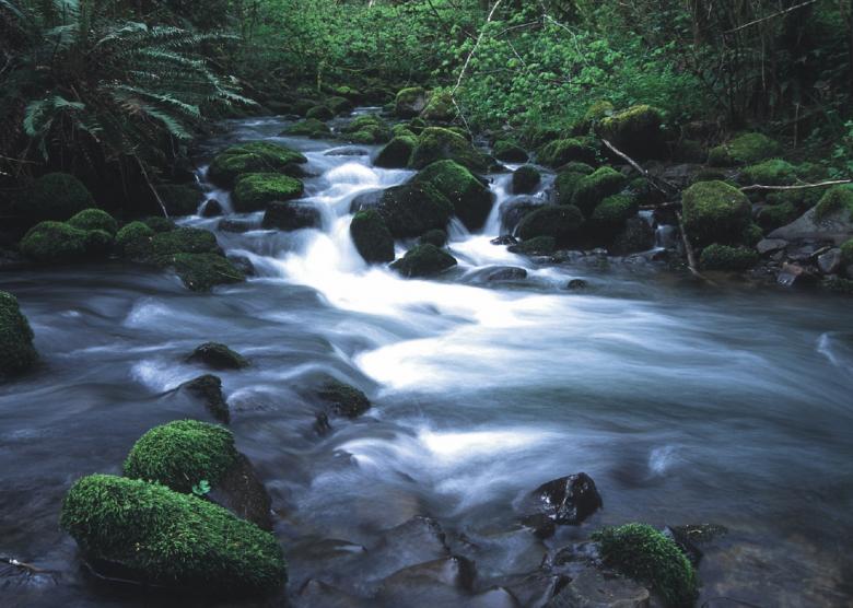 Free stock image of Running Stream created by Pixabay