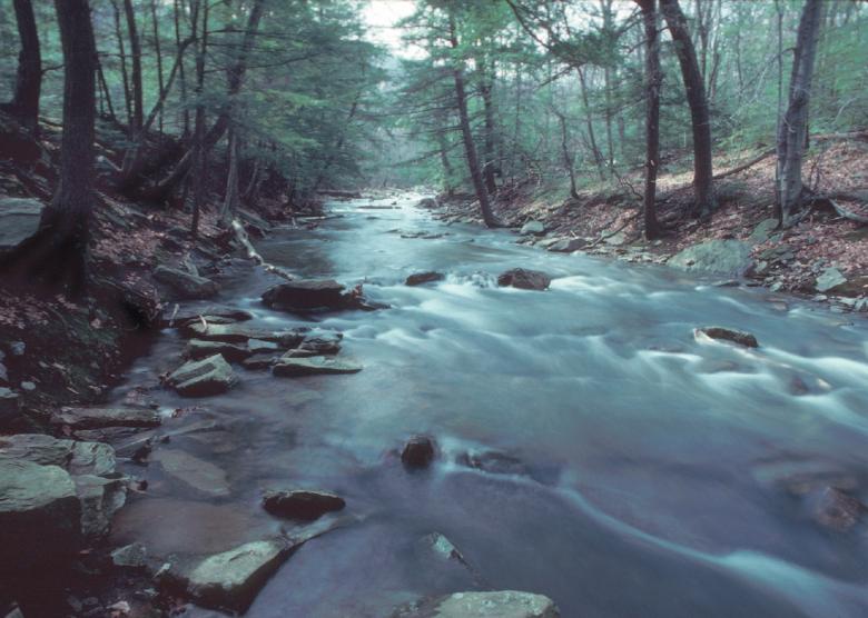 Free stock image of Running Stream created by Pixabay