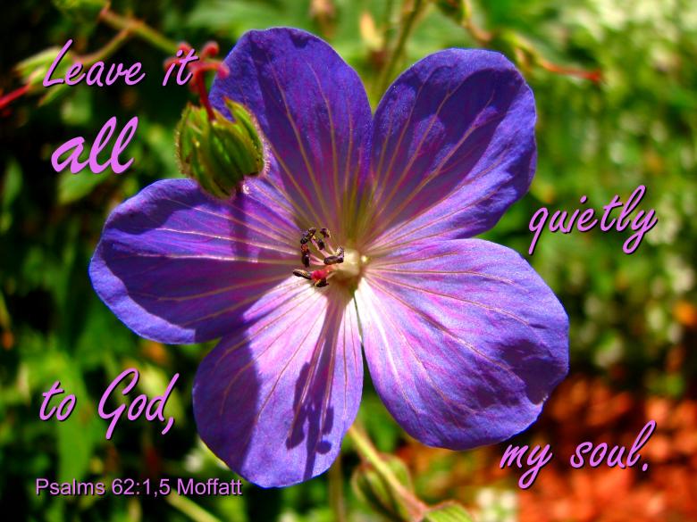 Free stock image of Leave It to God created by DFNatureAwed