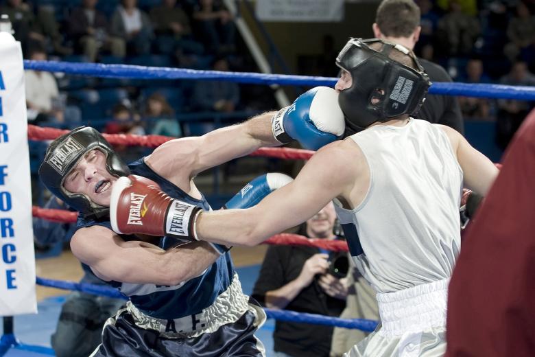 Free stock image of Boxing Bout created by Pixabay