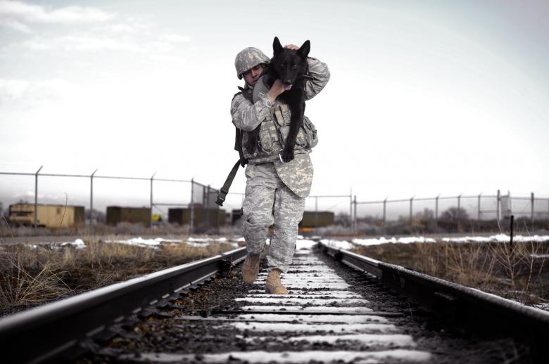 Free stock image of Companions on Track created by Pixabay
