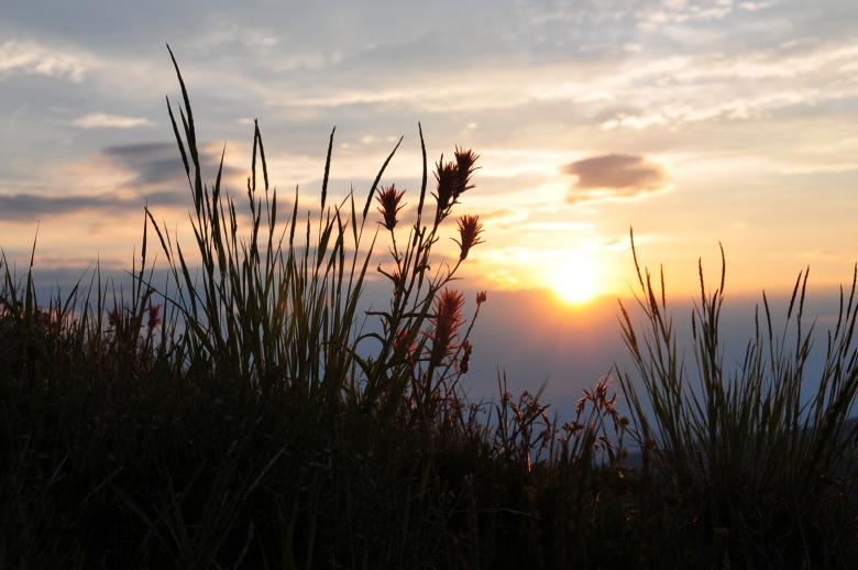 Free stock image of Sunset created by Pixabay