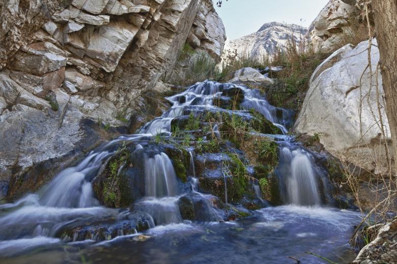 Free stock image of Nature created by Pixabay