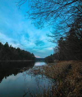 Nature Lake Brandenburg - Free Stock Photo