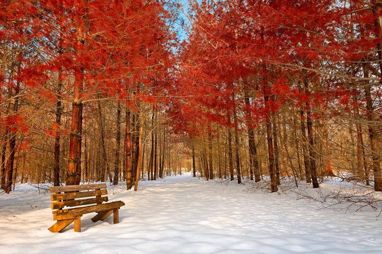 Free stock image of Ruby Winter Trail - HDR created by Nicolas Raymond