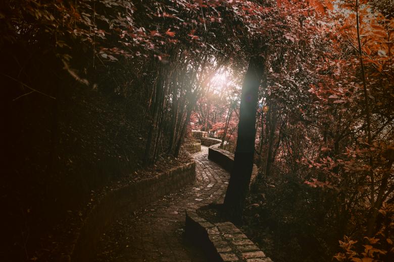 Free stock image of Way Through created by Allan Pinheiro de Lima
