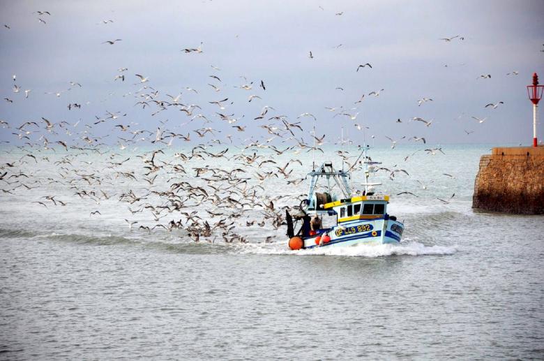 Free stock image of Fishing Boat created by Pixabay