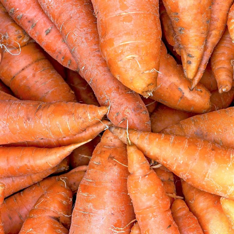 Free stock image of Bunch of Carrots created by Pixabay