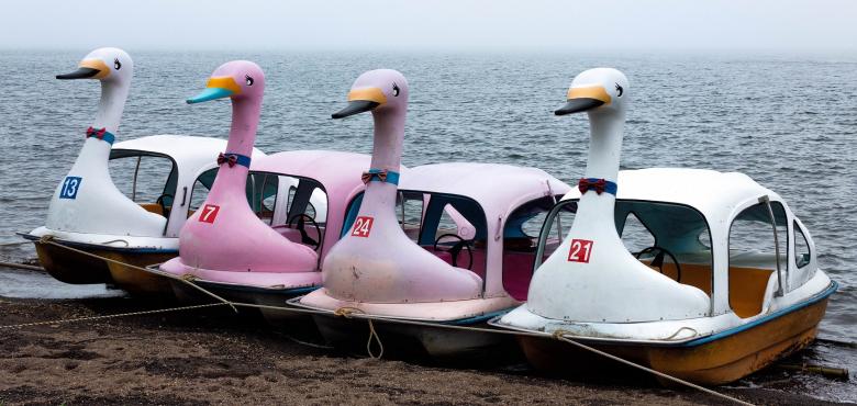 Free stock image of Duck Boats created by Pixabay