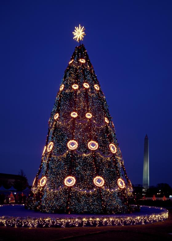 Free stock image of Christmas Tree created by Pixabay