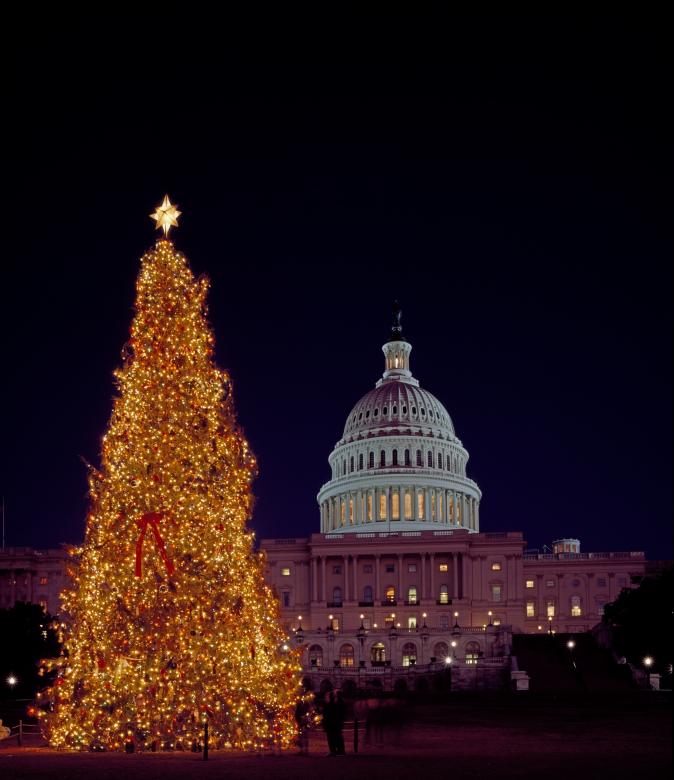 Free stock image of Christmas Tree created by Pixabay