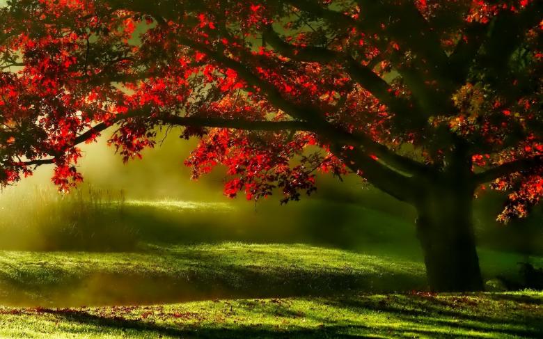 Free stock image of Mysterious Land created by Pixabay