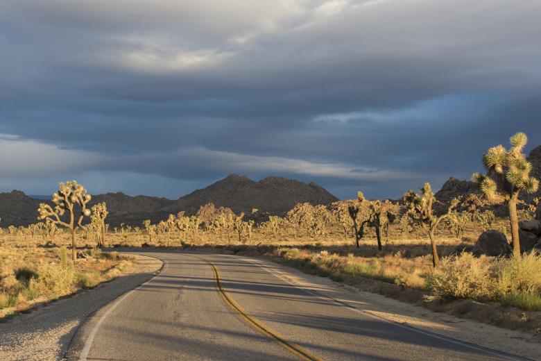 Free stock image of Road Through the Desert created by Pixabay