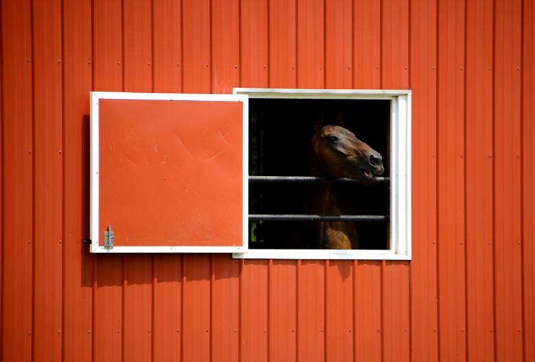 Free stock image of Horse Stable created by Pixabay
