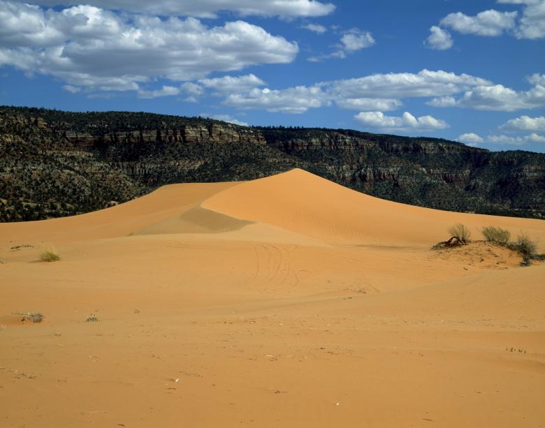 Free stock image of Sand Dunes created by Pixabay