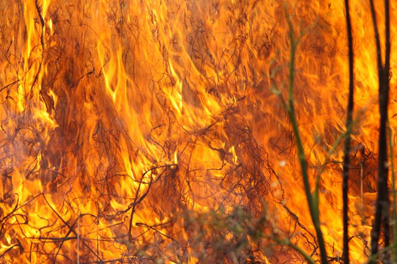 Free stock image of Burning Grass created by Pixabay