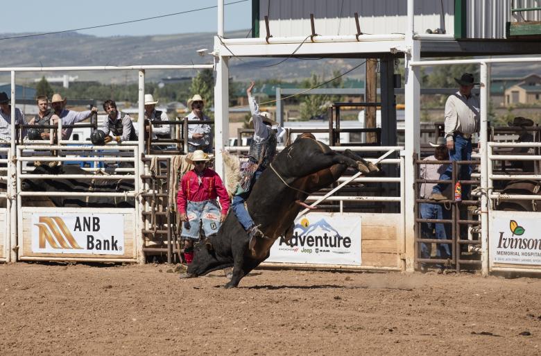 Free stock image of Bull Ride created by Pixabay