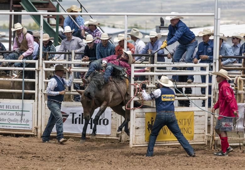 Free stock image of Rodeo Austin created by Pixabay