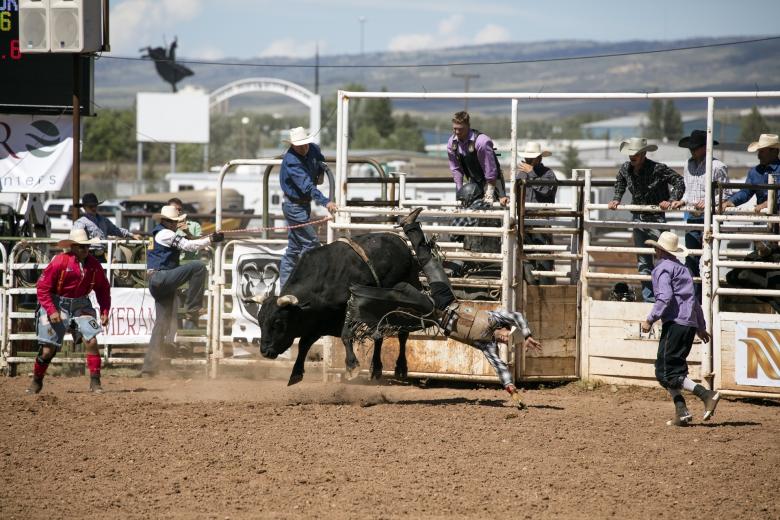 Free stock image of Rodeo Austin created by Pixabay