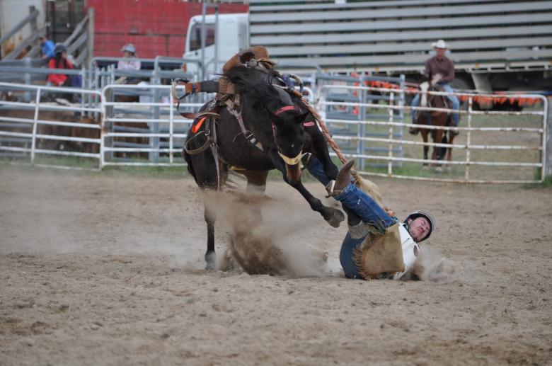 Free stock image of Rodeo Austin created by Pixabay