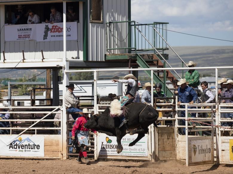 Free stock image of Cowboys created by Pixabay