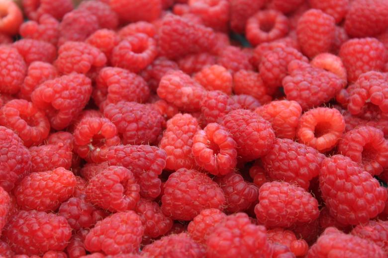 Free stock image of Fruit Stall created by Pixabay