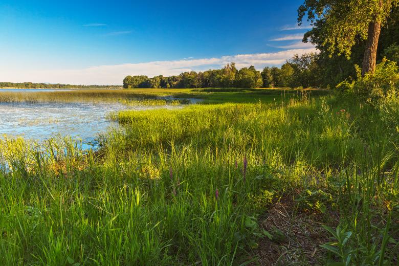 Free stock image of Isle La Motte - HDR created by Nicolas Raymond