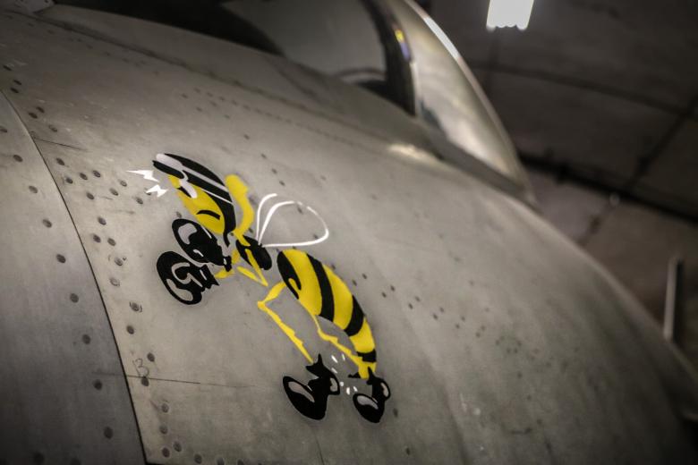 Free stock image of Swedish Jet fighter art created by Janis Urtans